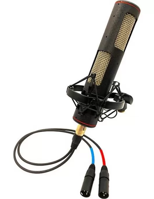 Stager Microphones Stereo SR-2N Ribbon Microphone (Matched Pair)